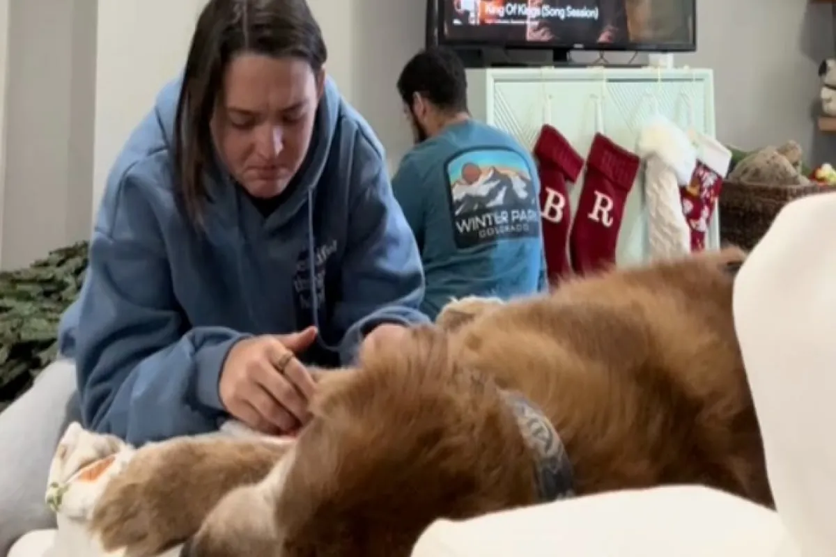 Une femme partage un moment tendre avec son Golden Retriever entouré de décorations de Noël.