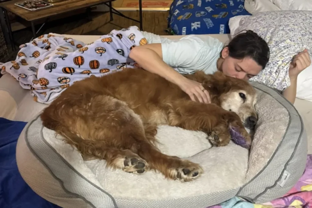 Une femme partage un moment tendre avec son Golden Retriever entouré de décorations de Noël.